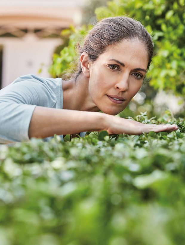 i-heckenschnitt-im-003