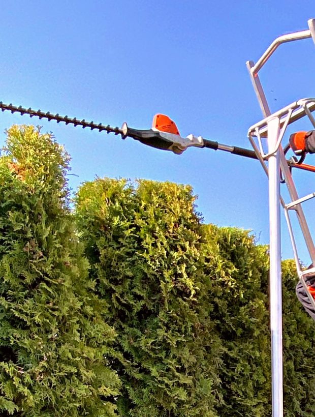 strihani-ziveho-plotu_1