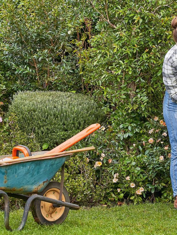 i-hecken_pflegen-aw-028_1