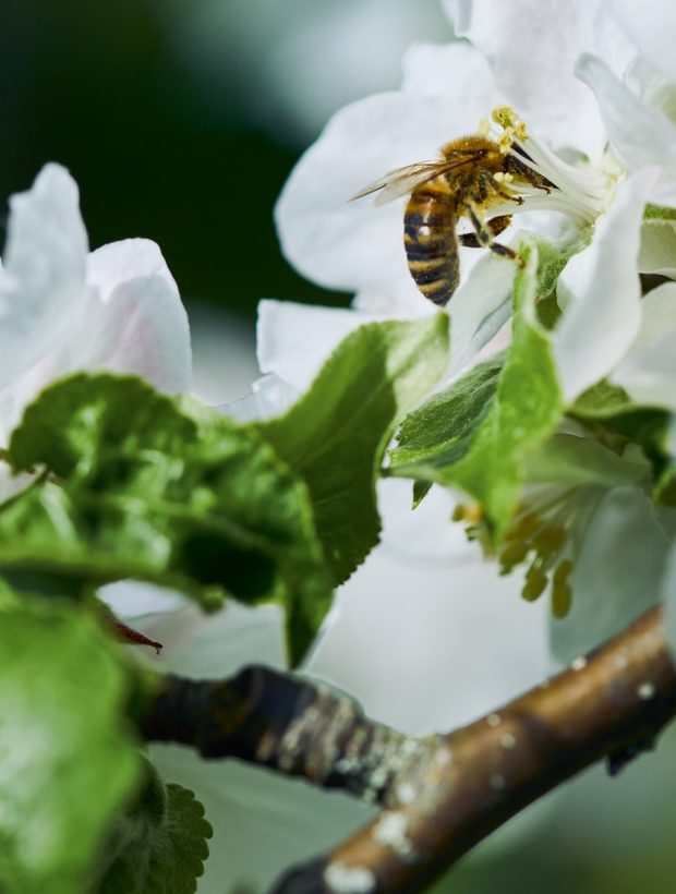 i-stihl_nature_proximity_germany-im-148_1