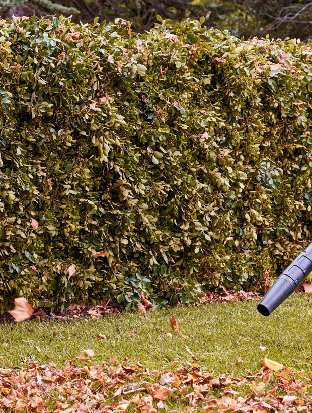 i-herbst_rasenpflege-aw-002_1