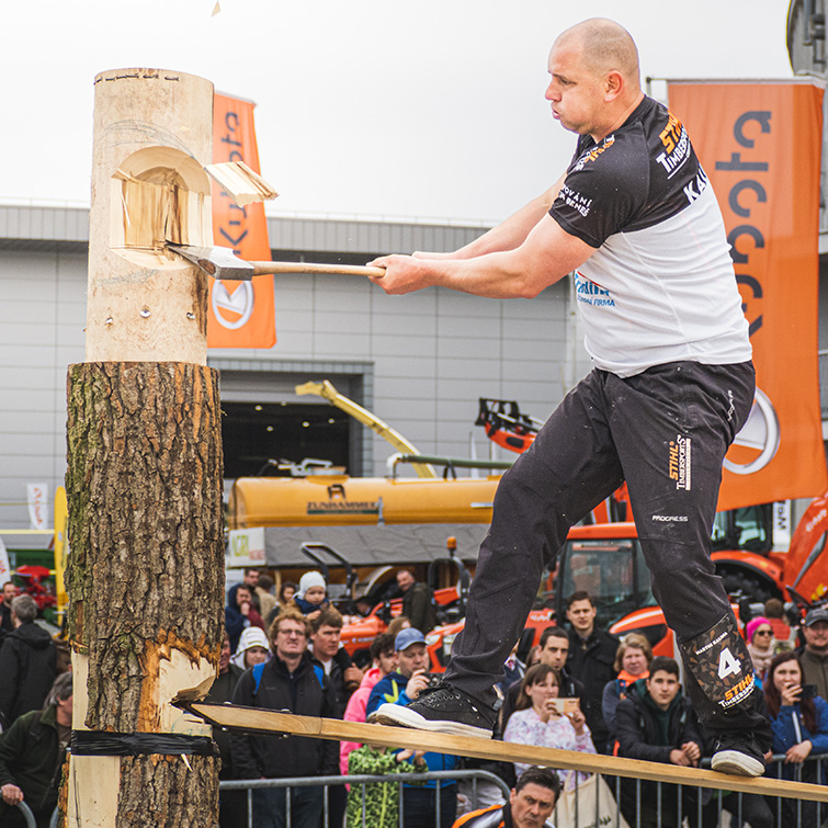 Profesionální dřevorubec