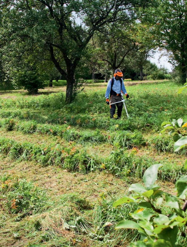 Pán se stará o zahradu