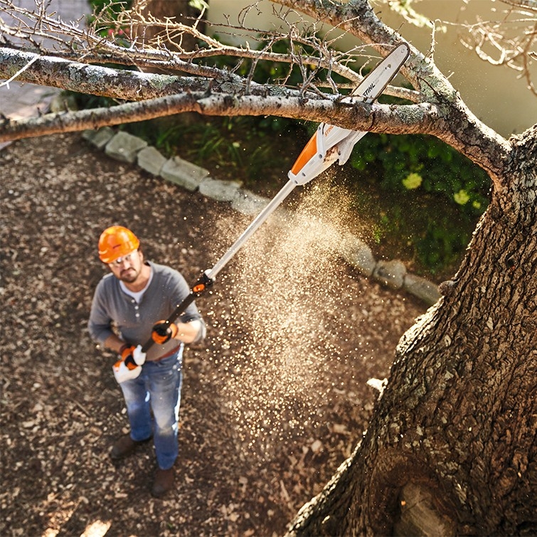 Muž ořezává strom