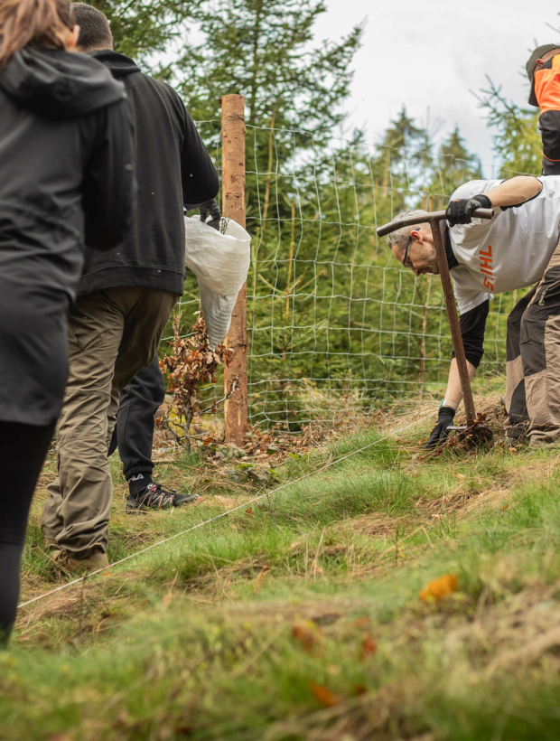Sázení stromků na Vyšočině